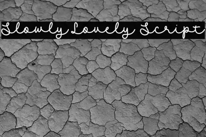 Slowly Lovely Script Schriftart examples