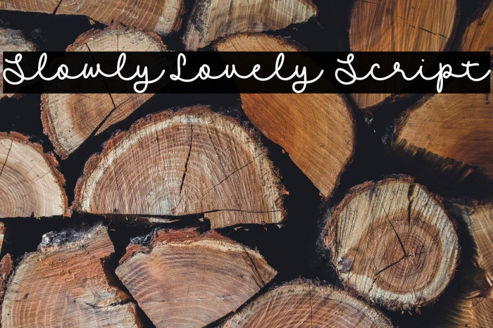Slowly Lovely Script Example 3