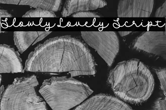 Slowly Lovely Script Schriftart examples