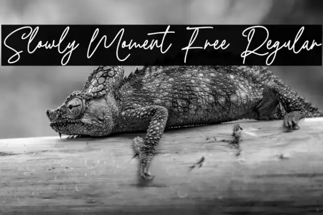 Slowly Moment Free Regular Font examples