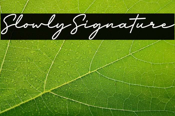 SlowlySignature Example 1