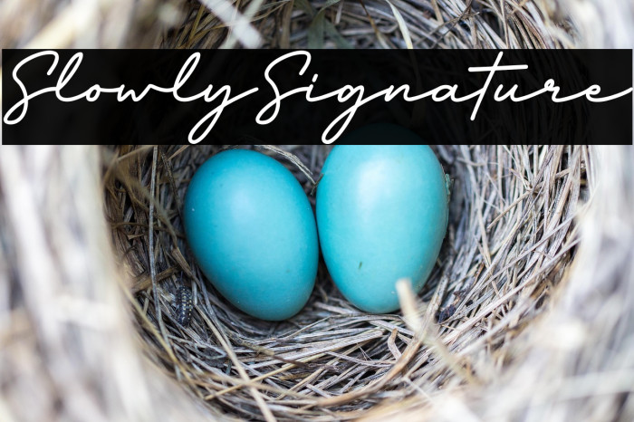 SlowlySignature Example 2