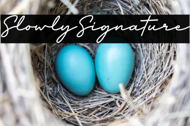 SlowlySignature Example 2
