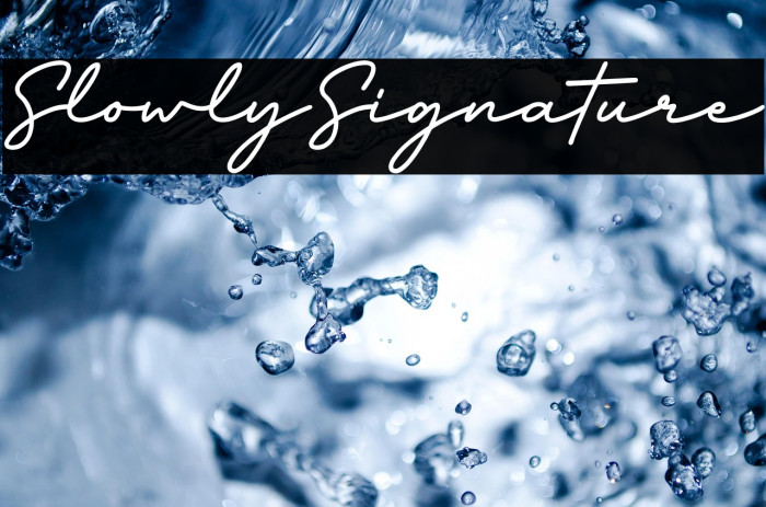 SlowlySignature Example 3