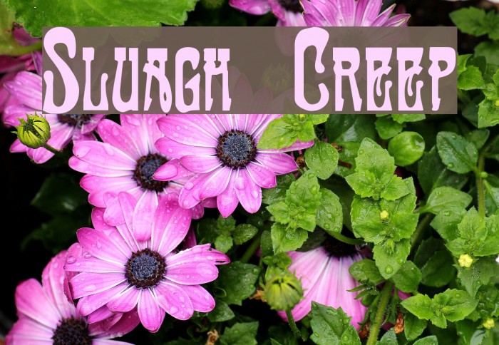 Sluagh Creepy Polices examples