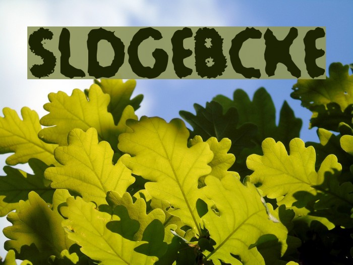 Sludge-Bucket Font examples