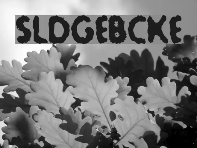 Sludge-Bucket Font examples