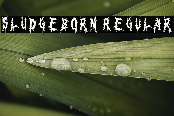 Sludgeborn Regular خط examples