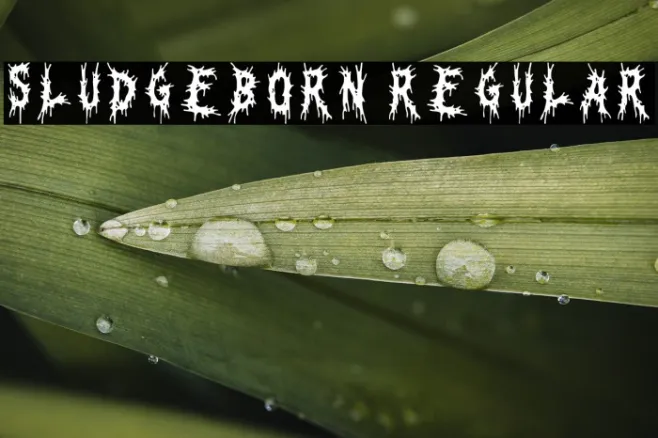 Sludgeborn Regular Example 1