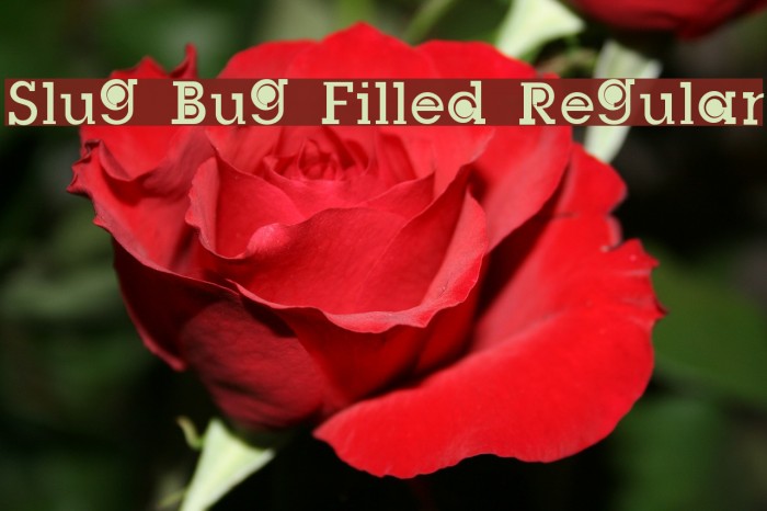 Slug Bug Filled Regular Font examples