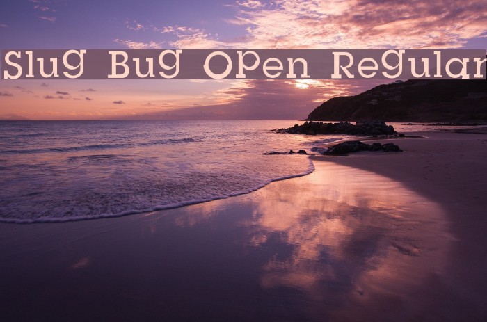 Slug Bug Open Regular Caratteri examples