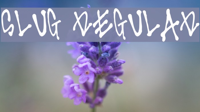 Slug Regular Font examples