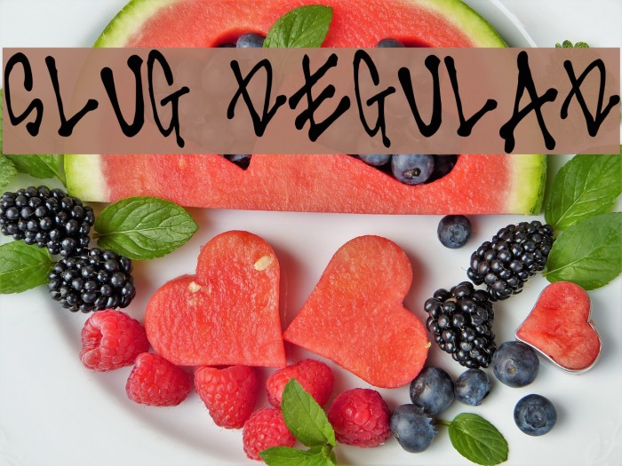 Slug Regular Font examples