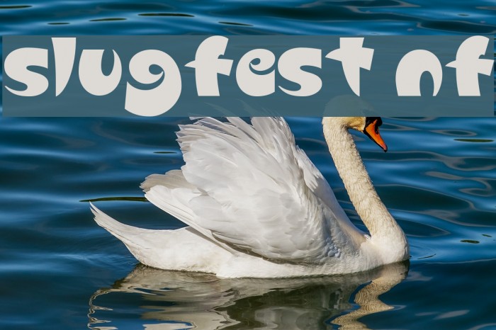 Slugfest NF Font examples