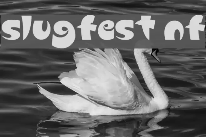 Slugfest NF Caratteri examples
