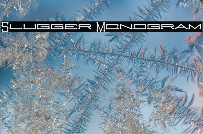 Slugger Monogram Example 3