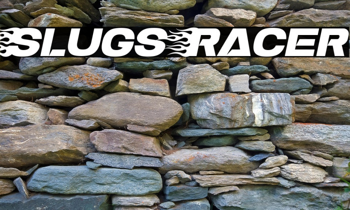 Slugs Racer Example 1