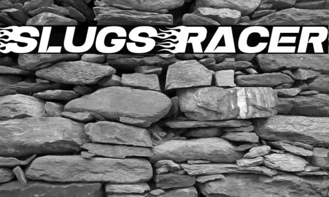 Slugs Racer Polices examples