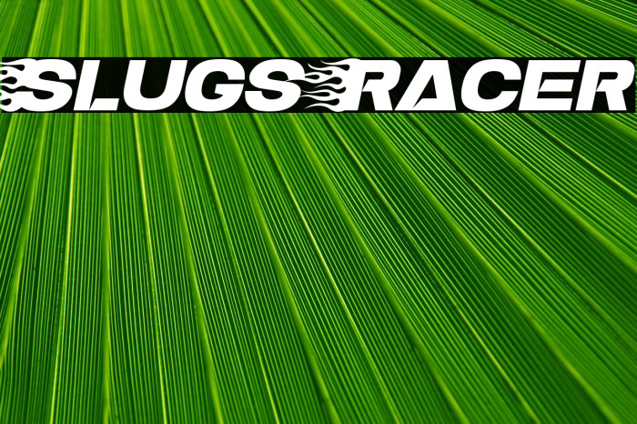 Slugs Racer Example 2