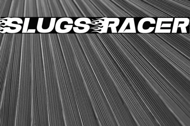 Slugs Racer Polices examples