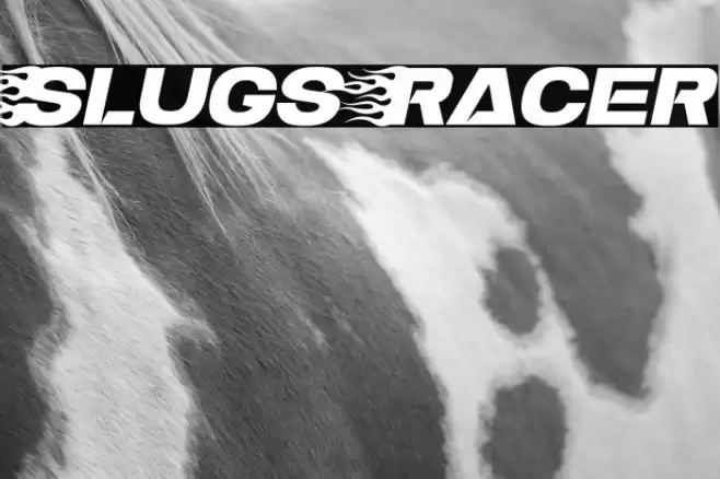 Slugs Racer Polices examples