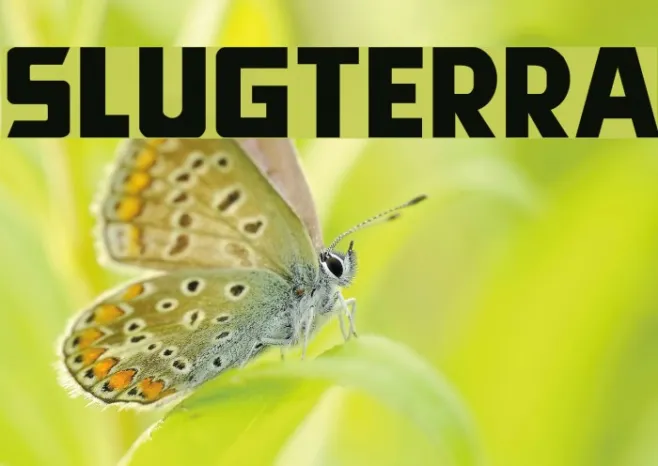 Slugterra Example 2