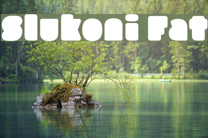 Slukoni Fat Example 3