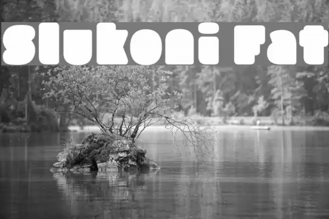 Slukoni Fat Font examples