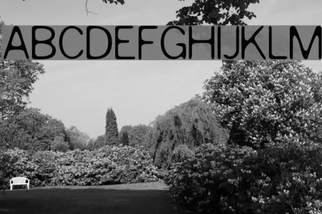 Slurry Font examples