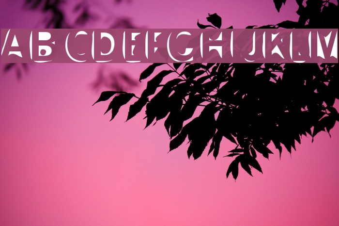 Slushfaux Union Font examples