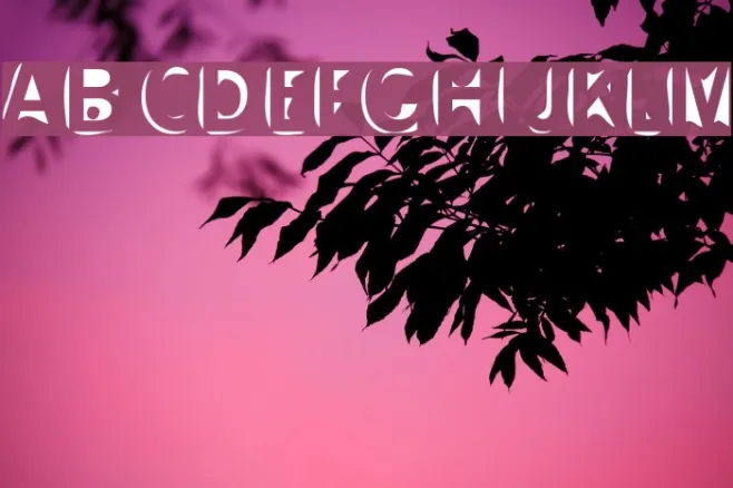 Slushfaux Union Example 2