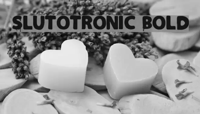 Slutotronic Bold Font examples