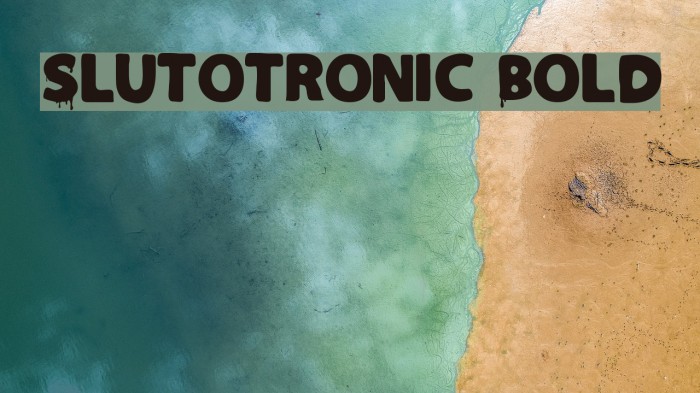 Slutotronic Bold Example 2