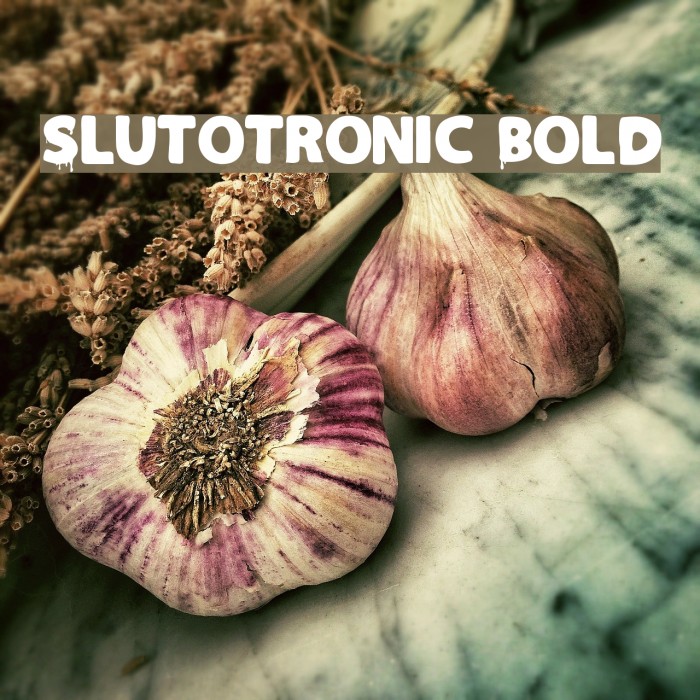 Slutotronic Bold Example 3
