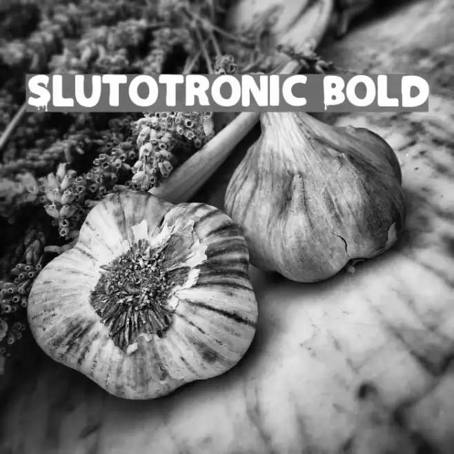 Slutotronic Bold Font examples