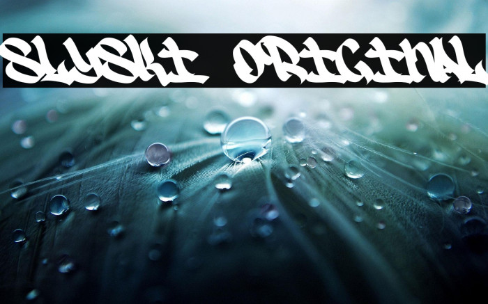 SlySki Original Example 1