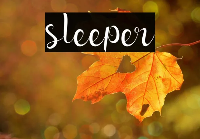 sleeper Example 1
