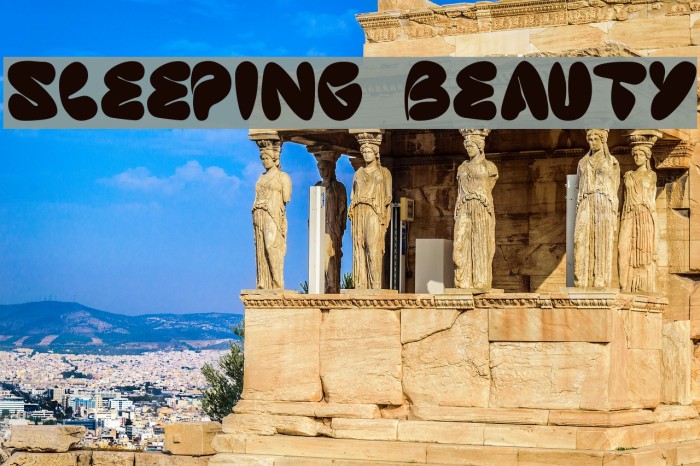 sleeping beauty Example 2