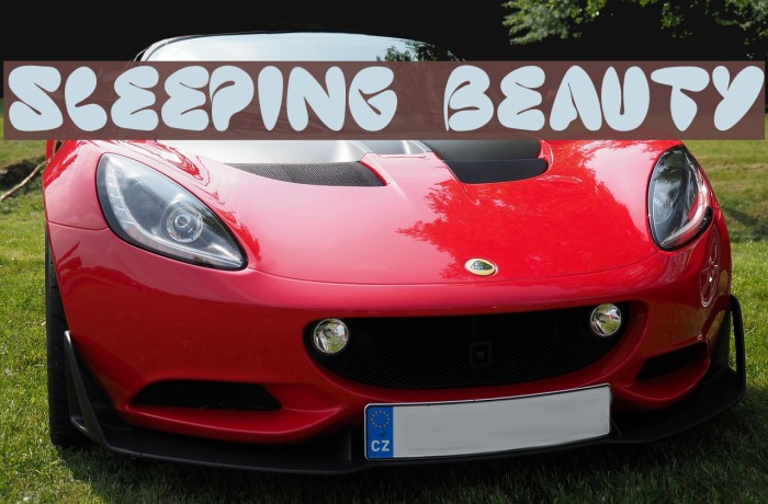 sleeping beauty Example 3