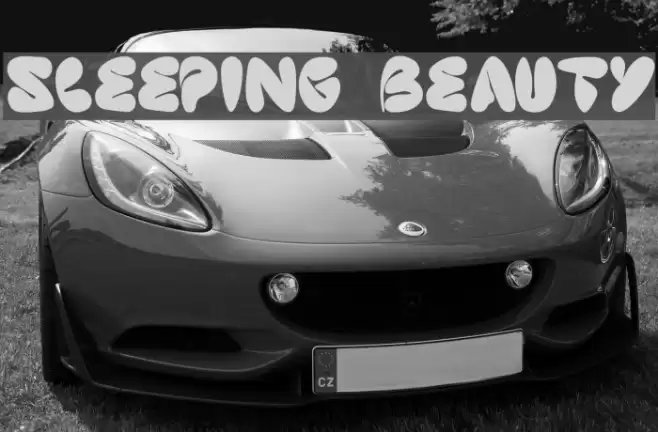 sleeping beauty Font examples