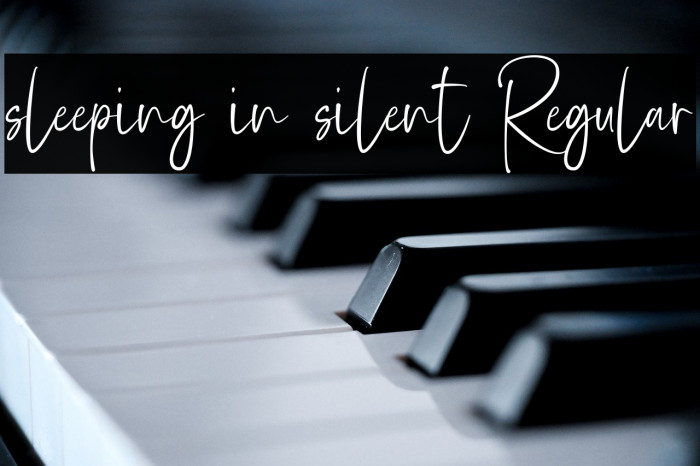 sleeping in silent Regular Example 1