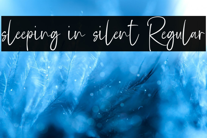 sleeping in silent Regular Example 2