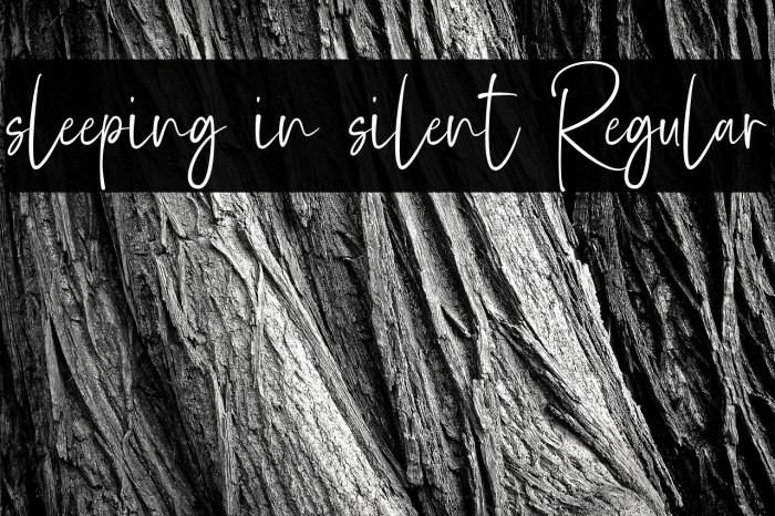 sleeping in silent Regular Example 3