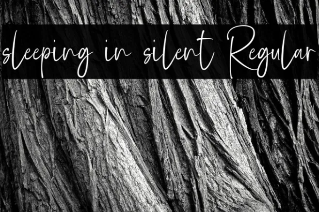 sleeping in silent Regular Example 3