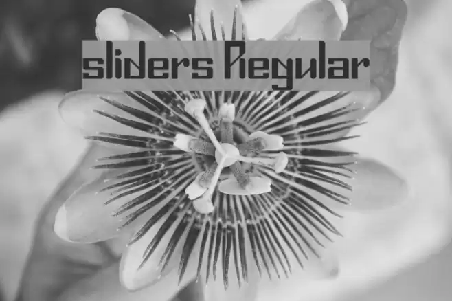 sliders Regular Font examples