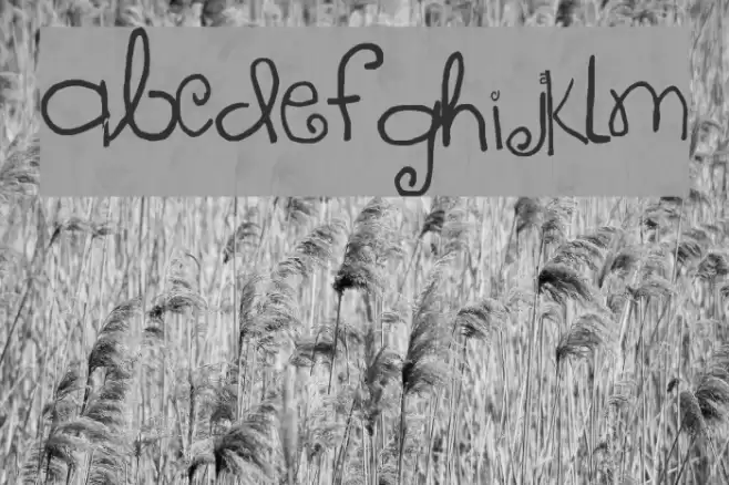 sloppy Font examples