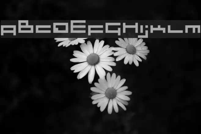 sloth Regular Font examples