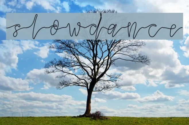 slowdance Example 1
