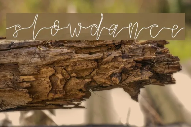 slowdance Example 3