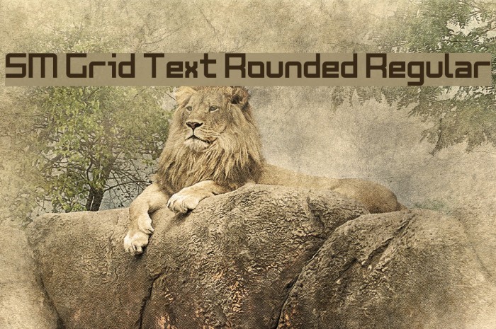 SM Grid Text Rounded Regular Font examples